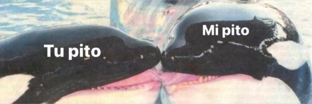 OnlyFans cuenta bluelaflamee header 2