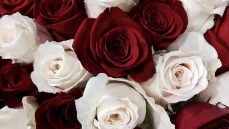 OnlyFans cuenta naylajoleen header 2