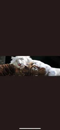OnlyFans cuenta xoxonymphofairy header 2