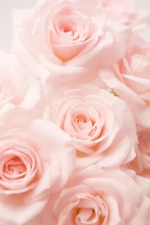 OnlyFans cuenta dchantel header 2