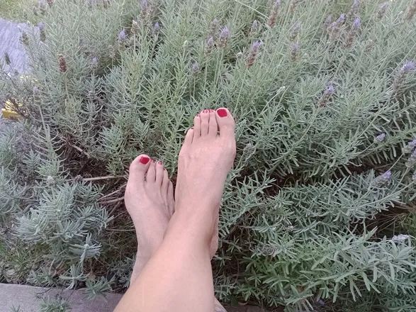 OnlyFans account  ucraja header 2