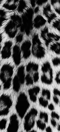 OnlyFans cuenta bbygirljess header 2