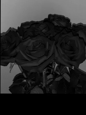 OnlyFans cuenta salazarlilian header 2