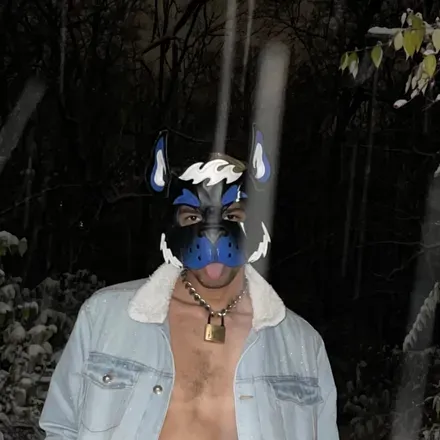 OnlyFans account  rogerthemutt avatar 1