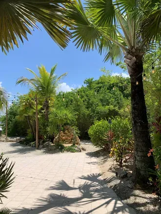 OnlyFans cuenta tropicalstorm20 header 2