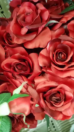 OnlyFans cuenta foxygirl0813 header 2