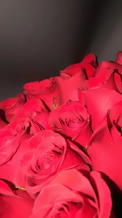 OnlyFans cuenta u116013887 header 2