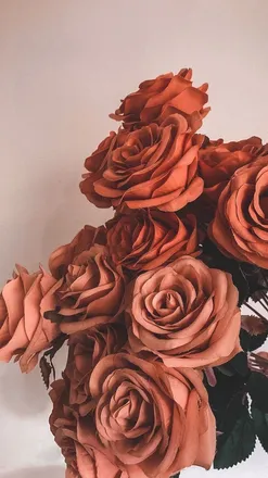 OnlyFans cuenta ofherhoney header 2