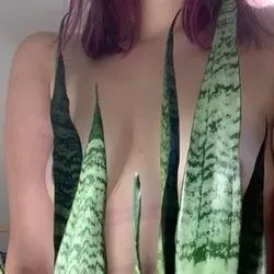 OnlyFans cuenta ivyindica avatar 1