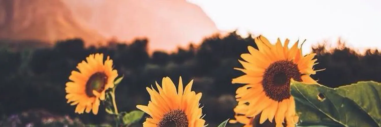 OnlyFans cuenta jamieloves header 2