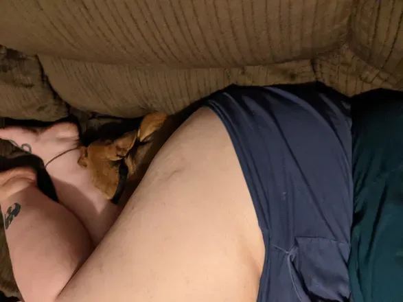 OnlyFans cuenta darklynn83 header 2