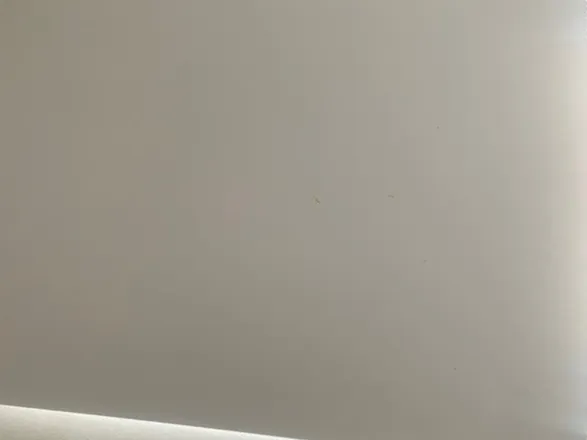 OnlyFans cuenta u15720785 header 2