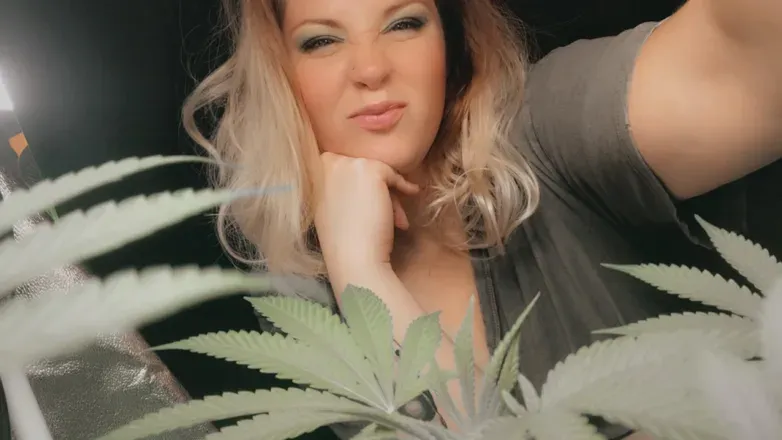 OnlyFans account  beweers avatar 1
