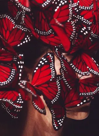 OnlyFans cuenta feederka header 2