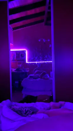 OnlyFans cuenta sophiekatt header 2