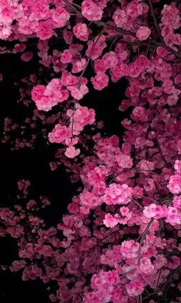 OnlyFans cuenta adriannablaxxk header 2