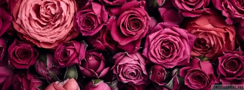 OnlyFans cuenta lustfullulu header 2