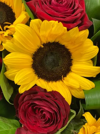 OnlyFans account  iris-may header 2