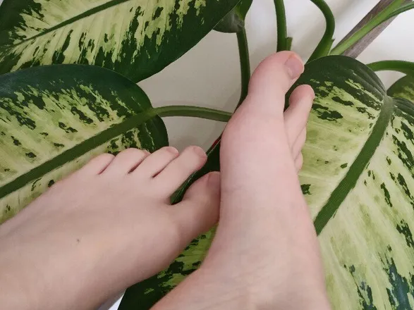OnlyFans cuenta feet_of_fantasy01 header 2