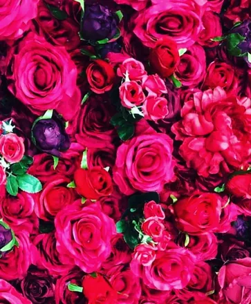 OnlyFans cuenta q-m-xx header 2
