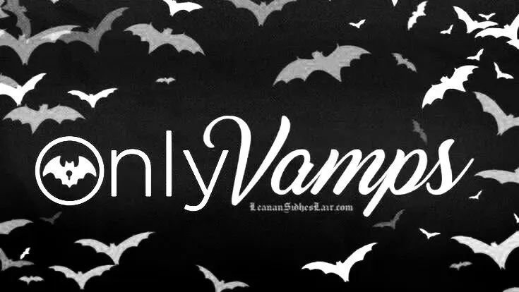 OnlyFans account  onlyblus header 2
