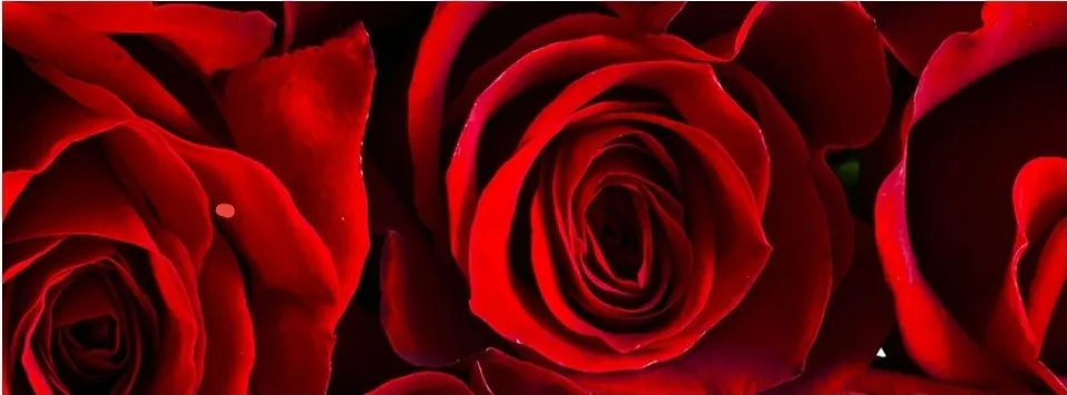 OnlyFans cuenta u130285663 header 2