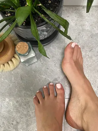 OnlyFans account  champagne.toes avatar 1