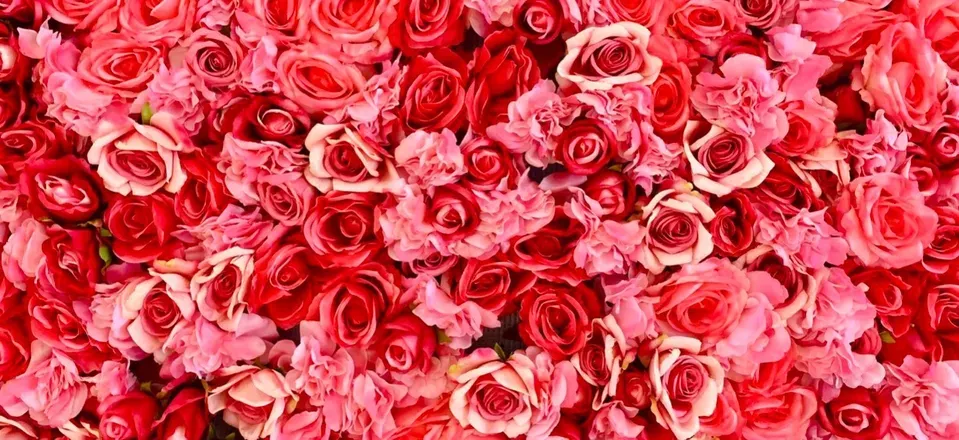 OnlyFans cuenta theraquel header 2
