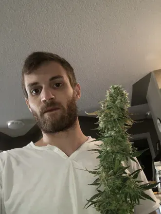 OnlyFans cuenta rollinintheweeds avatar 1