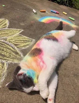 OnlyFans cuenta laruebunny avatar 1