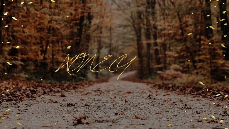 OnlyFans cuenta xonecy header 2