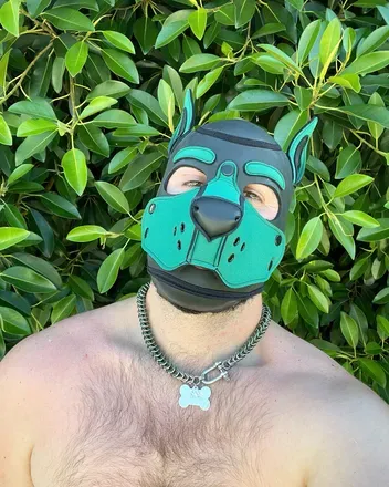 OnlyFans cuenta puptank7 avatar 1