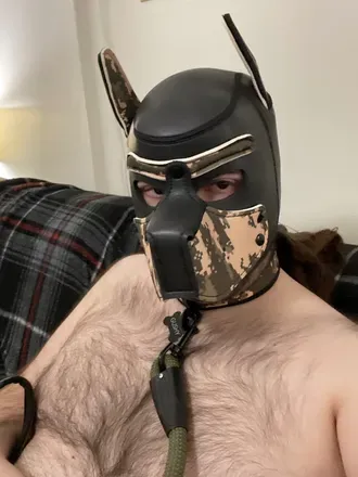 OnlyFans cuenta pup_jorts avatar 1