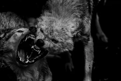 OnlyFans cuenta deltorso666 header 2