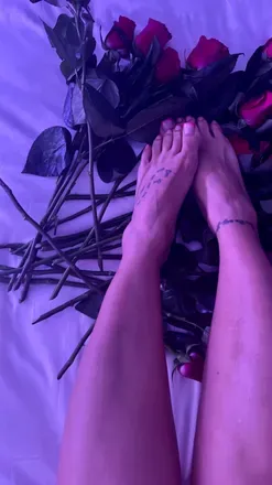 OnlyFans cuenta hollytoes4u avatar 1
