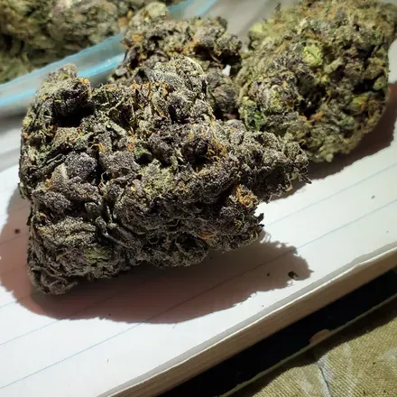OnlyFans account  puffercannabisclub header 2