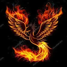 OnlyFans account  phoenix85 header 2