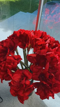 OnlyFans cuenta morethannpretty header 2