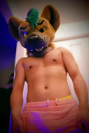 OnlyFans account  norsehyena avatar 1