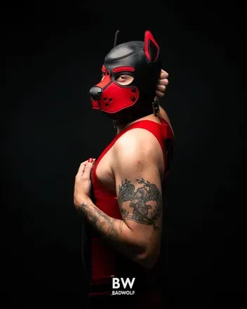 OnlyFans account  shadowpup01 avatar 1