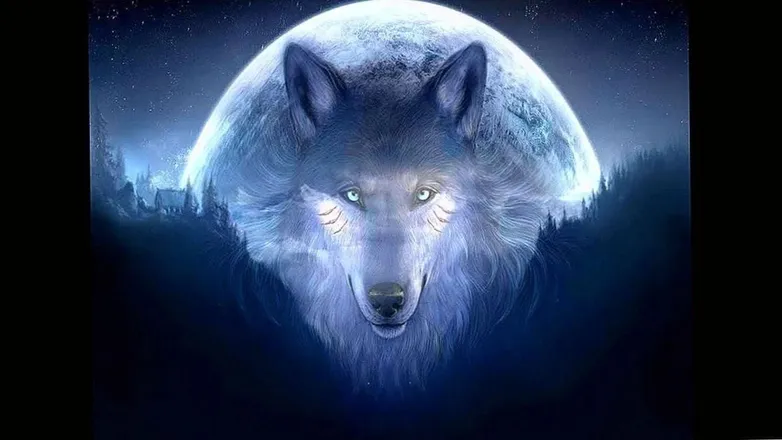 OnlyFans cuenta wolf_sketch header 2