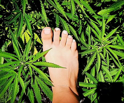 OnlyFans cuenta queen.sexy.feetxx header 2