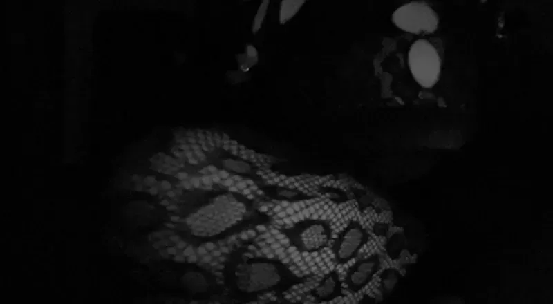 OnlyFans account  midniteminx avatar 1