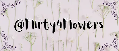 OnlyFans cuenta flirty4flowers header 2