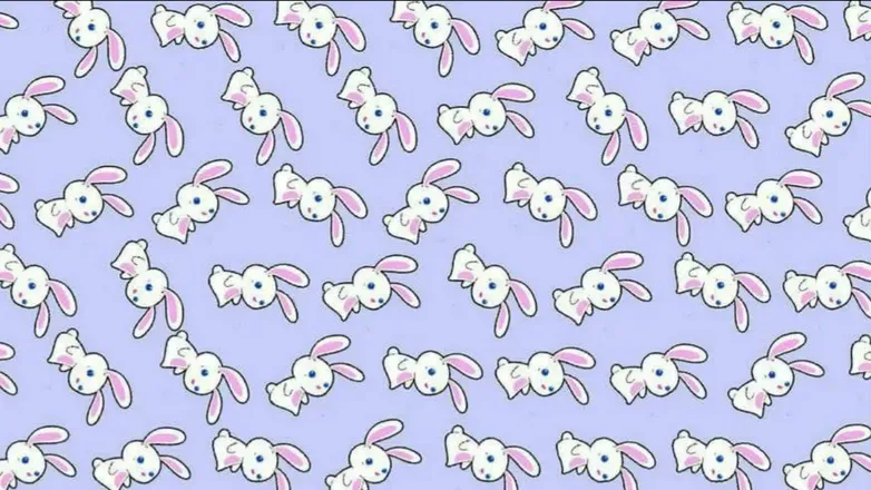 OnlyFans cuenta rabbitandlady header 1