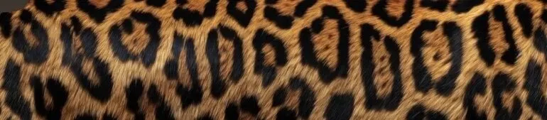 OnlyFans cuenta simpforkiera222 header 2