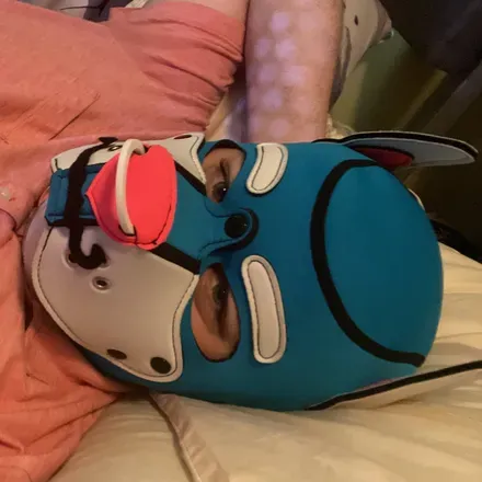 OnlyFans account  hyperpupbuster avatar 1