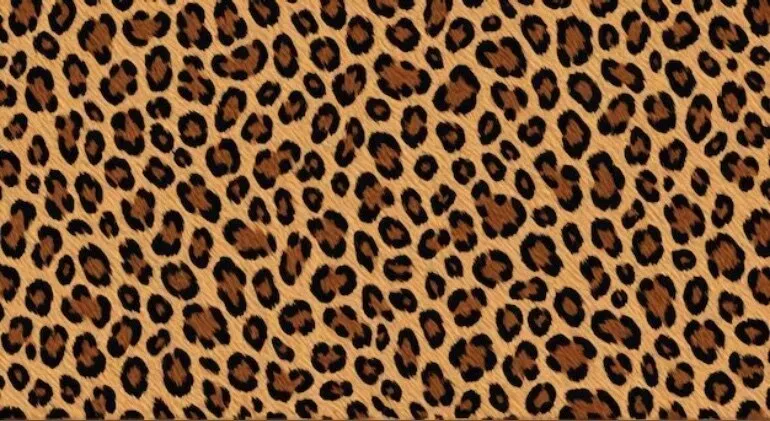 OnlyFans cuenta mr.mrs.lambert header 2