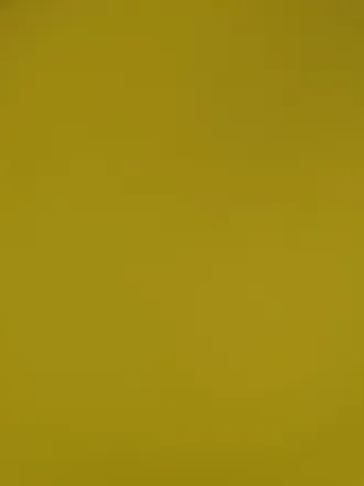 OnlyFans cuenta asadvertised header 2