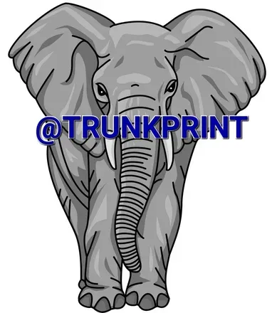 OnlyFans account  trunkprint avatar 1